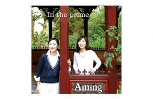 In the prime/Aming